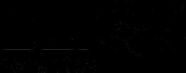 Partner Logo 2